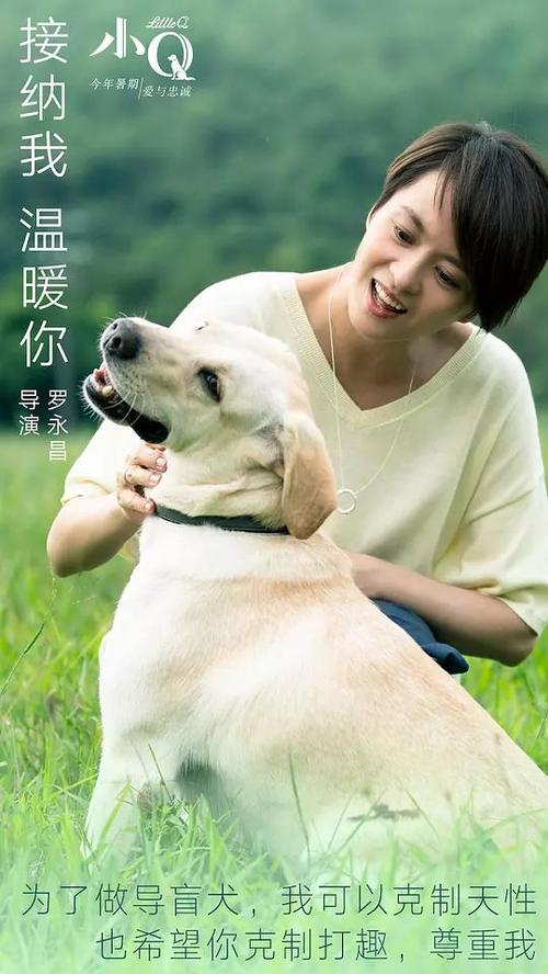 怎么做假日本名古屋商科大學文凭